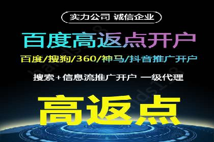 百度竞价广告投放全解析：成功案例揭秘